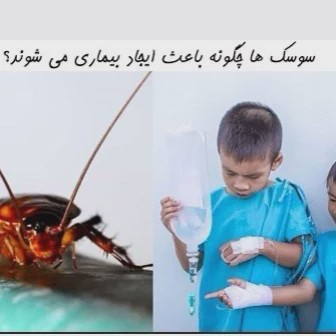 سم سوسک کش رونج رقیب سوسک های آلمانی ارسال رایگان