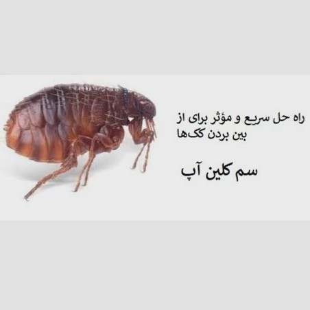 راه حل قطعی برای نابودی کک سم کلین آپ