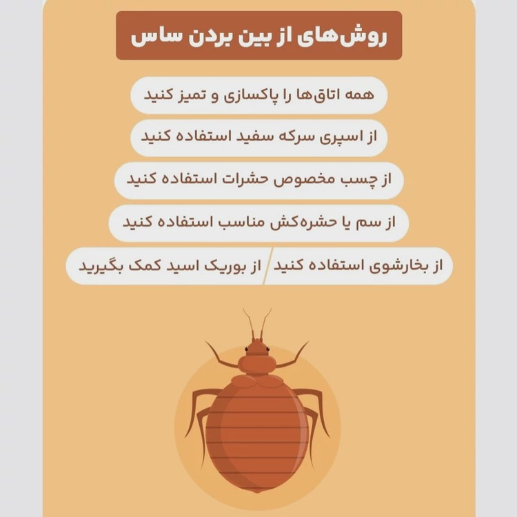 سم 4 لیتری نسخه اصلی پیرانا Pyranha اورجینال ارسال رایگان
