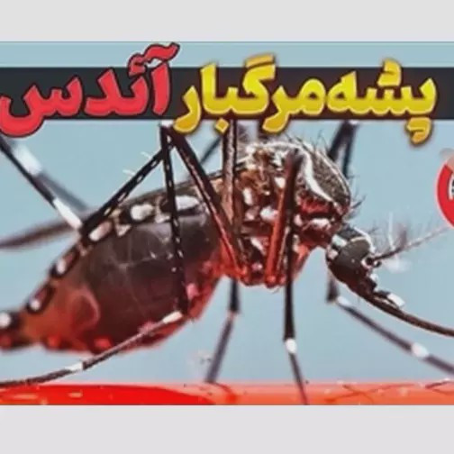 سم پشه کش بات بدون بو ارسال رایگان مدل 1