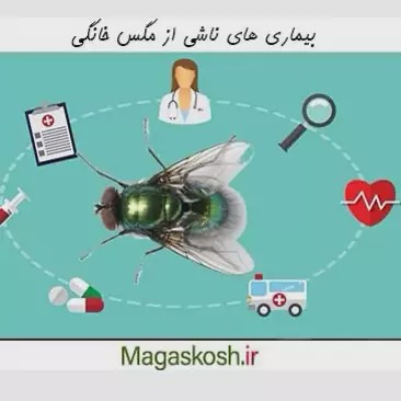 سم مگس کش دیویس ارسال رایگان مدل 1