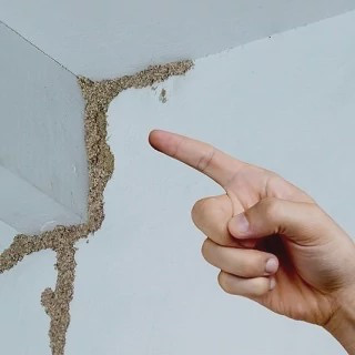 سم موریانه کش ترمیدور Termidor با ضمانت نسخه اورجینال ارسال رایگان